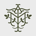 allmoringatree logo