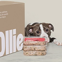 Ollie Pets logo