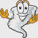 The Twister Group (US & Canada) logo